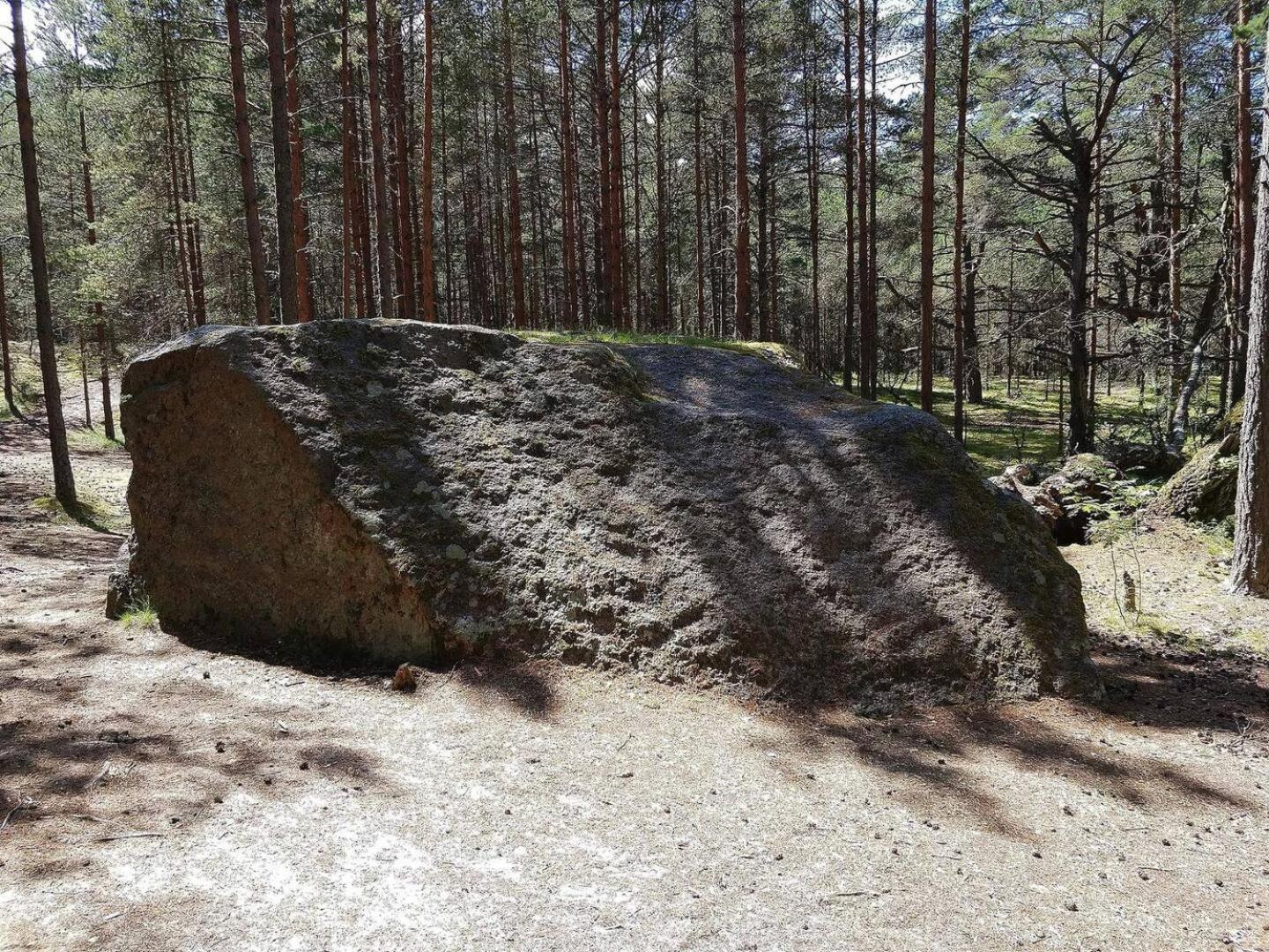 Norwegian Saunahouse Haapse Dış mekan fotoğraf