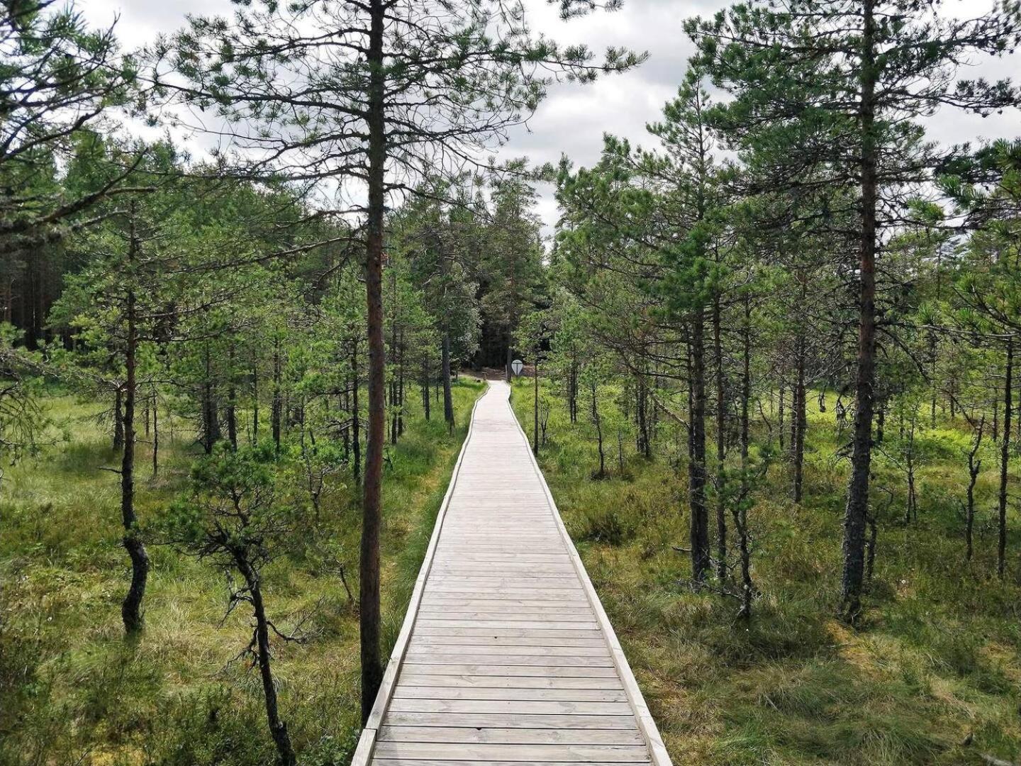 Norwegian Saunahouse Haapse Dış mekan fotoğraf