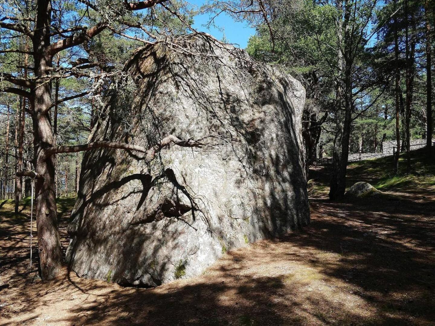 Norwegian Saunahouse Haapse Dış mekan fotoğraf